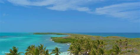 Isla Contoy and Isla Mujeres Day Trip with Snorkeling - Klook