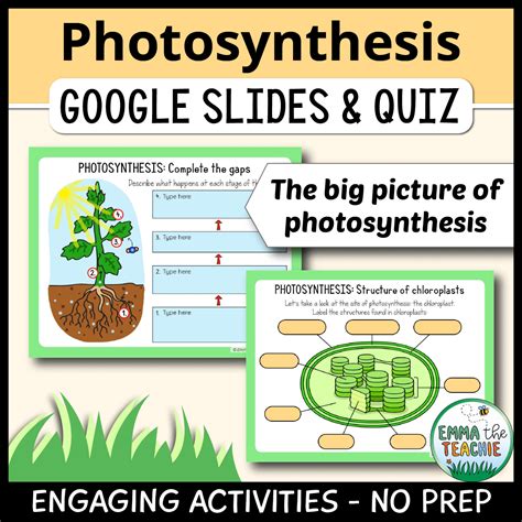 Photosynthesis Google Slides - Emmatheteachie