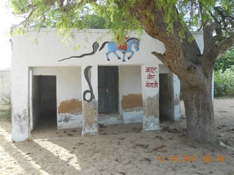 shri Goga ji maharaj temple in the city Buchawas