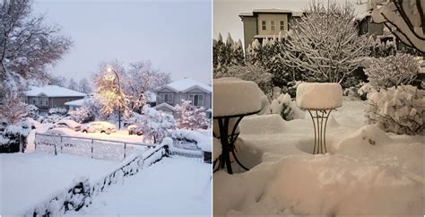 15 cm of snow fell in Metro Vancouver overnight (PHOTOS) | News