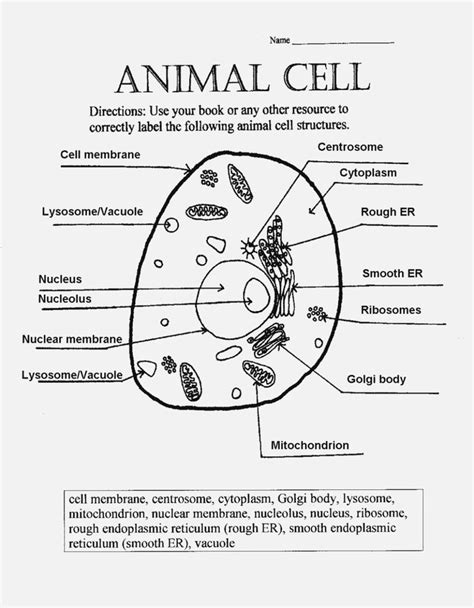 Animal Cell Worksheet Labeling | Cells worksheet, Animal cell, Plant ...