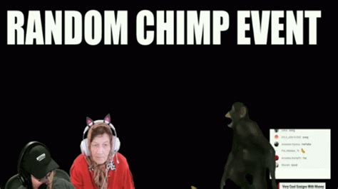 Chimp Funny GIF - Chimp Funny Radal - Discover & Share GIFs