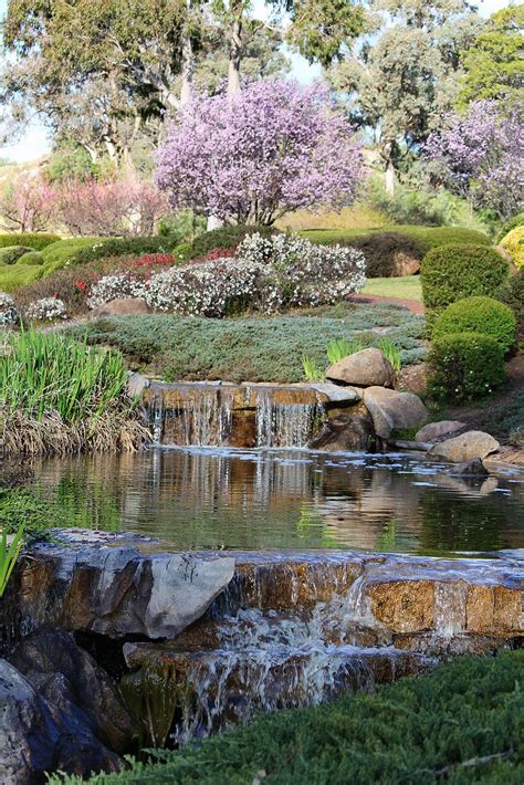 Cowra Japanese Gardens | Cowra NSW Landscape Design, Garden Design, Garden Waterfall, Backyard ...