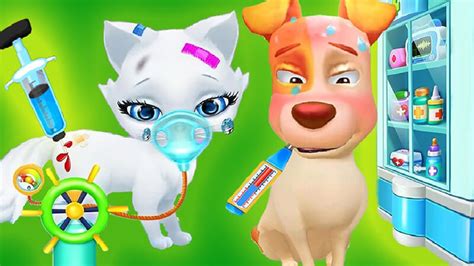 Animal Doctor | Play Free horse game | horse-games.org