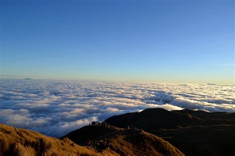 Experience the Excitement: Mt. Pulag: Bringing you Closer to Clouds