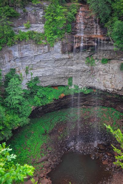 How to Find The Best Fall Creek Falls Hiking Trails