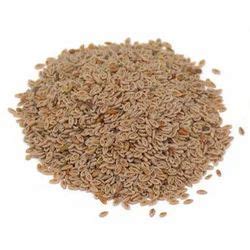 Psyllium Seed - Psyllium Service Provider from Sidhpur