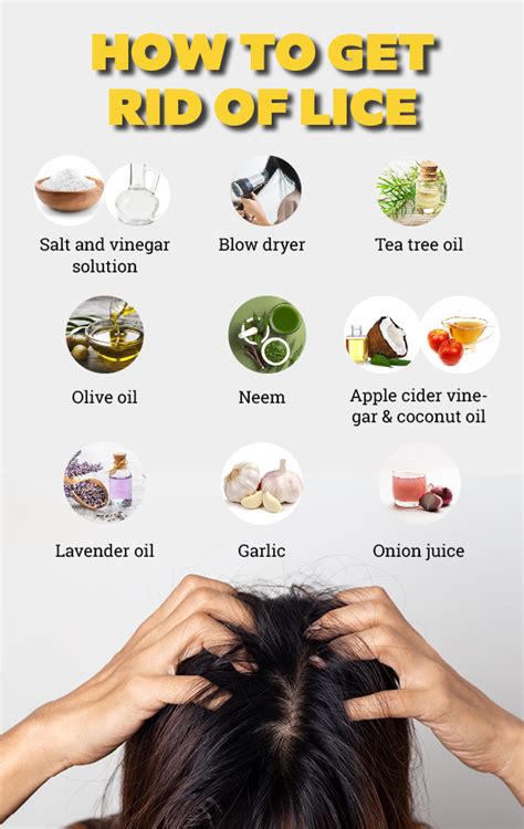 9 Home Remedies to Get Rid of Head Lice