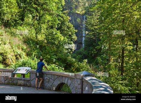 Latourell Falls, Columbia River Gorge, Oregon, USA Stock Photo - Alamy