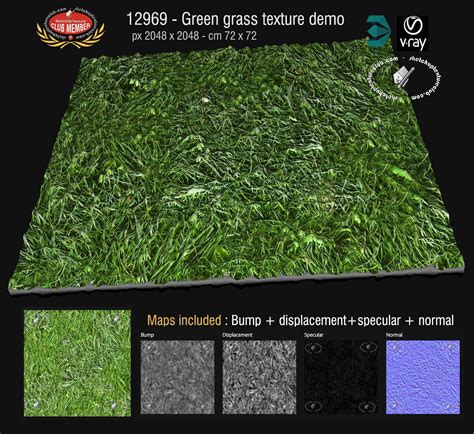 SKETCHUP TEXTURE: Search results for grass