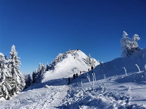 Hiking in Brasov, Hikes in the Carpathian Mountains of Romania