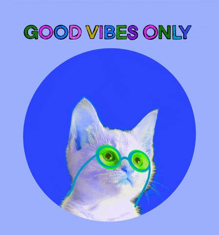 Vibing Cat Good Vibes Only GIF | GIFDB.com