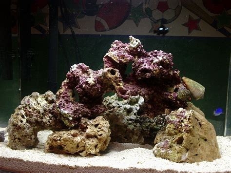 My tank - Tank Shots - Nano-Reef Community