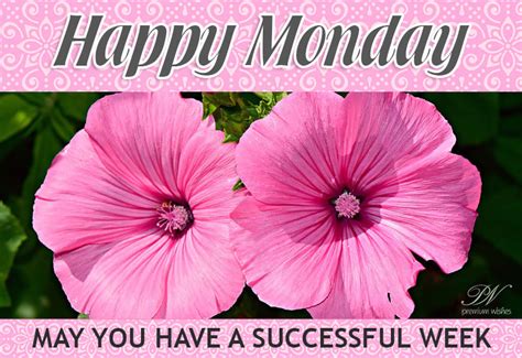 Monday Wishes - Premium Wishes