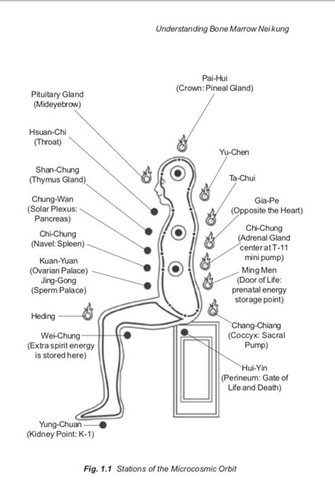 Bone Breathing, The Microcosmic Orbit – The Tao Blog