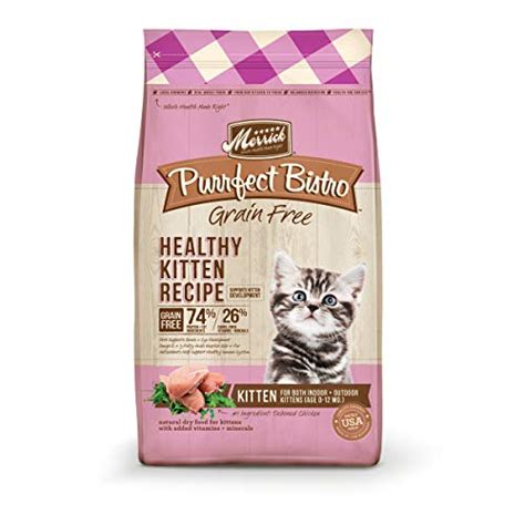 The Best Organic Kitten Food for Healthy Growth and Development