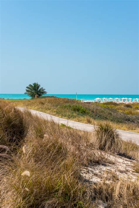 Saadiyat Public Beach, Saadiyat Island, Abu Dhabi, UAE Editorial Image ...