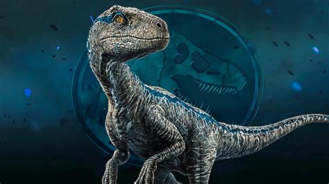 🔥 Free Download Jurassic World Velociraptor Blue Wallpaper By Dremuler ...