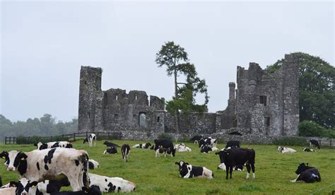 THE 15 BEST Things to Do in Navan (2025) - Must-See Attractions