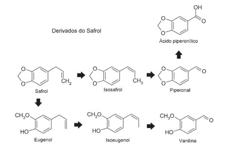 Transformações químicas do safrol. (Elaborada pelos autores ...