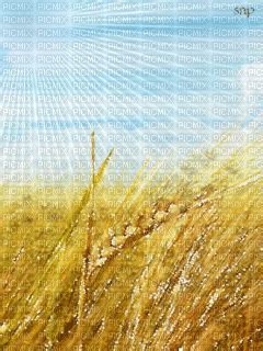 wheat - Free animated GIF - PicMix