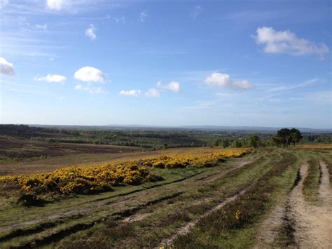 Ashdown Forest -spectacular walks! | Beautiful places, Nature, Forest