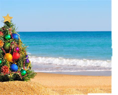 christmas tree on beach 120790171 | ShoreBread Eastern Shore Lifestyle ...