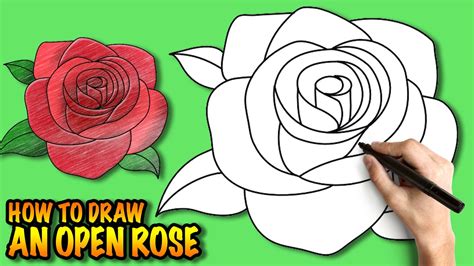 Easy Step By Step Drawing Of A Rose at GetDrawings | Free download