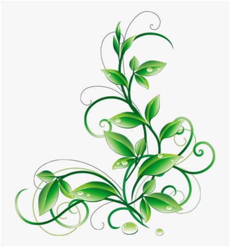 Floral Green Leaves And Water Droplets Png Clipart - Green Flowers Png Transparent PNG - 714x800 ...