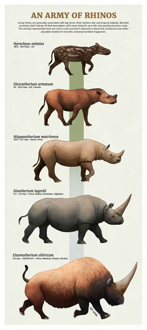 Pin by James Keenan on Evolution | Prehistoric animals, Prehistoric wildlife, Ancient animals