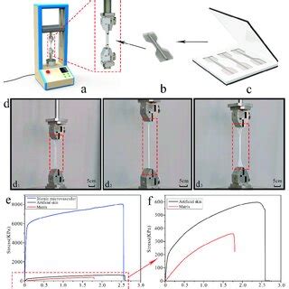 The preparation of artificial skin samples and the mechanical ...