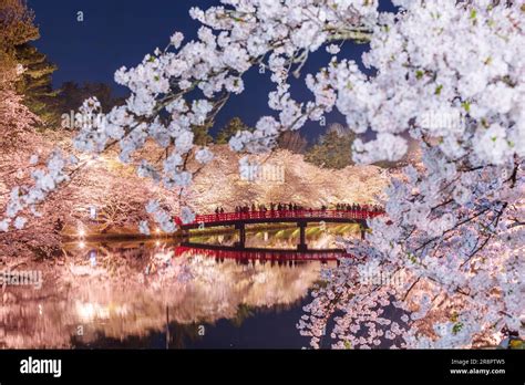 Cherry blossoms in Hirosaki Park Stock Photo - Alamy