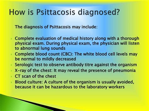 PPT - Psittacosis: Causes, Symptoms, Daignosis, Prevention and Treatment PowerPoint Presentation ...