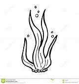 Seaweed coloring pages To Download And Print For Free sketch template