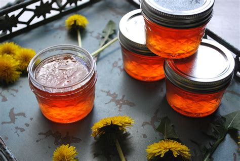 Celebrate Spring with Homemade Dandelion Jelly | indieherbalist