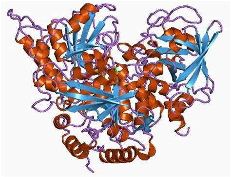 Aconitase - Creative Enzymes