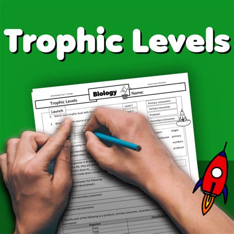 Trophic Levels Home Learning Worksheet GCSE - rocketsheets.co.uk