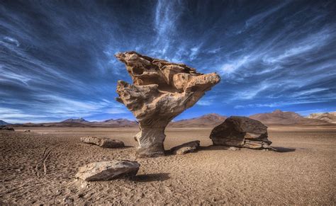 Arbol de piedra (Stone Tree), Bolivia | Travel inspiration, Travel, Bolivia