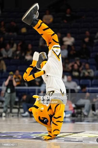 Towson Mascot Photos and Premium High Res Pictures - Getty Images