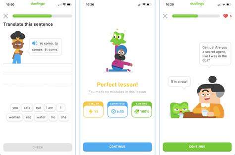 Duolingo and the basics of learning - Training Wizard