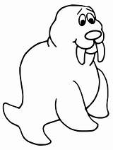 Walrus Is Smiling Coloring Page  Free Printable Pages For Kids sketch template
