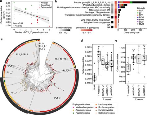 Genomic content in polysaccharide lyase PL1_7 links colonization... | Download Scientific Diagram