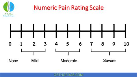 Numeric Pain Rating Scale (NPRS Score) | OrthoFixar 2024