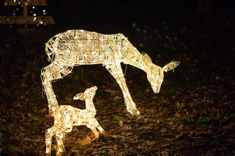 Where To See Illuminated Trails and Christmas Lights Near Me