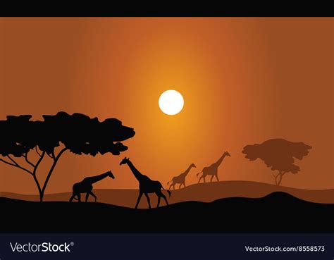 Giraffe silhouette savanna landscape Royalty Free Vector