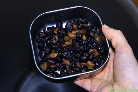 Fermented Black Beans Recipe | Dandk Organizer