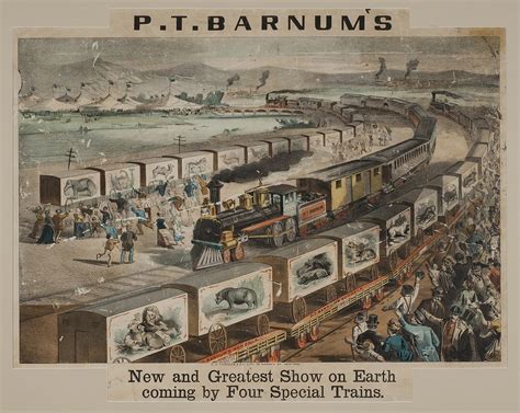 Collections - The Barnum Museum