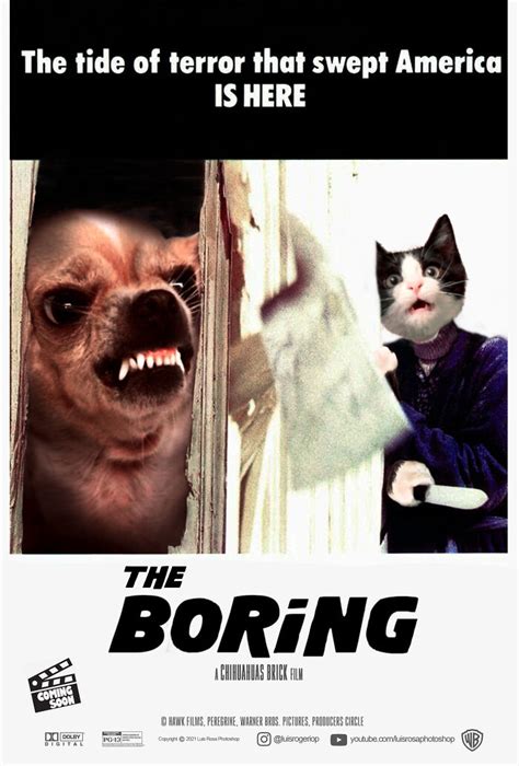 Artist Recreates Movie Posters And Replaces Actors With Cats And Dogs ...