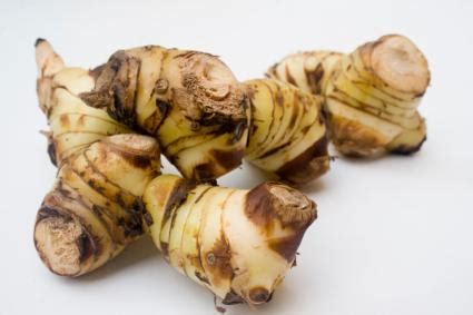 Galangal Root | LoveToKnow