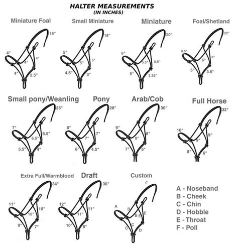 Do It Yourself: How to Make a Rope Halter DIY Horse ... | Horse halters ...